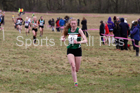 Junior womens 2018 Northern Cross Country Champs., Harewood House, Leeds. Photo: David T. Hewitson/Sports for All Pics